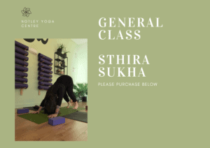 General-Class-Sthira-Sukha-300x212