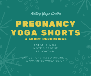 Pregnancy-yoga-shorts--300x251