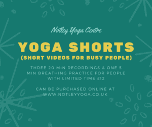yoga-shorts-short-videos-for-busy-people-300x251